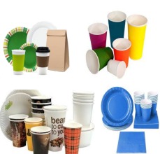 Disposable Items, Paper Cups and Paper Plates Disposable Items, Paper Cups and Paper Plates